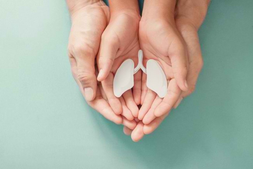 8 Ways to Clean the Lungs Naturally and Easily