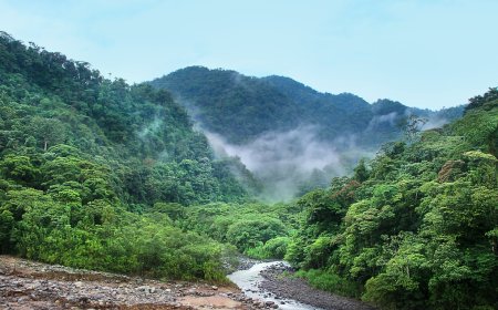 Nature's Wonderland: Trekking through the Lush Jungles of Costa Rica