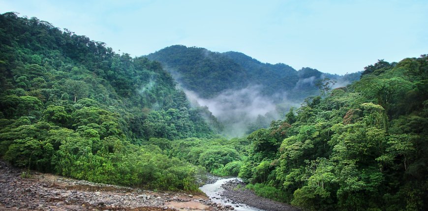 Nature's Wonderland: Trekking through the Lush Jungles of Costa Rica